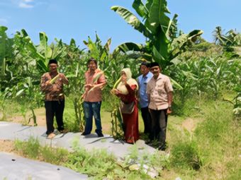 Kunjungan langsung oleh Kadis DPMG dalam memantau perkembangan hasil kebun BUMG